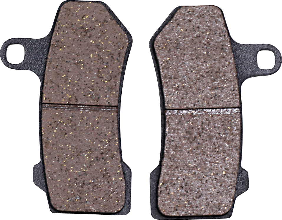 Lyndall Z-Plus Harley/Buell Brake Pads 08-22FLT