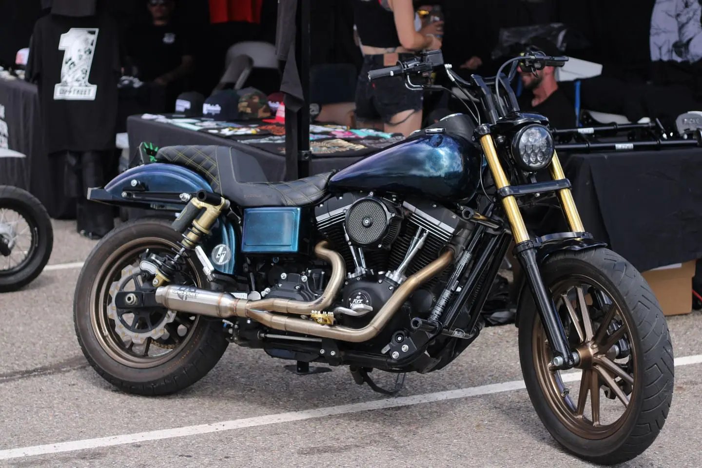Late model Dyna (06-17) My Store